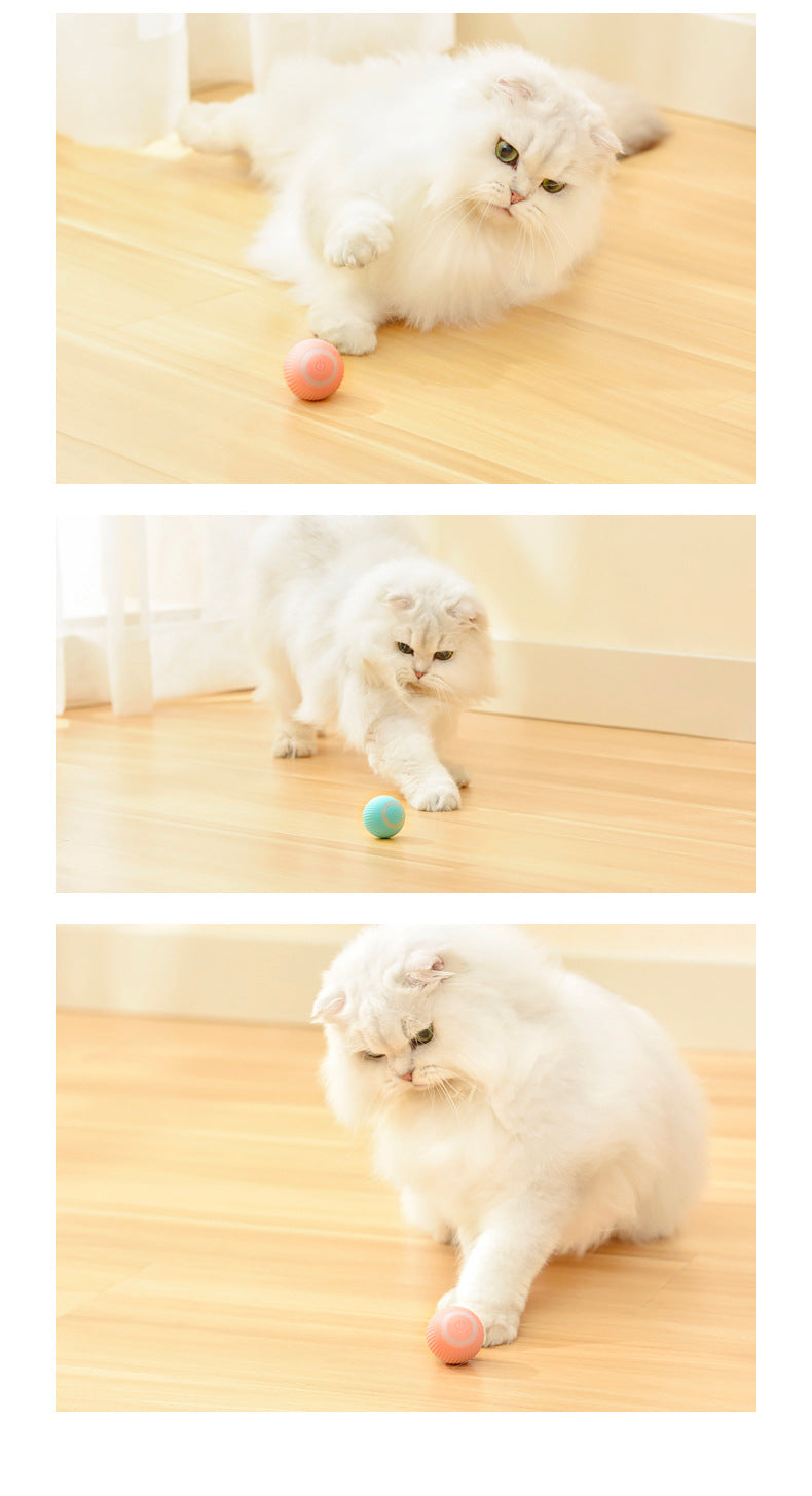 Automatic Rotating Cat Ball